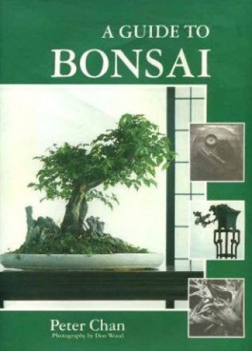 A Guide to Bonsai