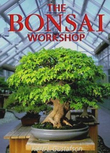 The Bonsai Workshop