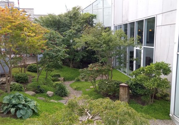 Japansk have og Ikebana i Farum Kulturhus